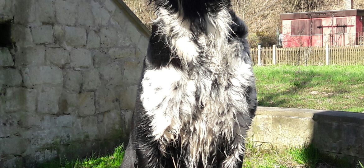 Rückkehr der Göttin