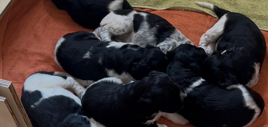 Übergänge im Leben