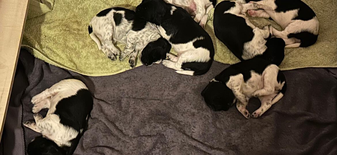 Vertrauen und Balance im Leben